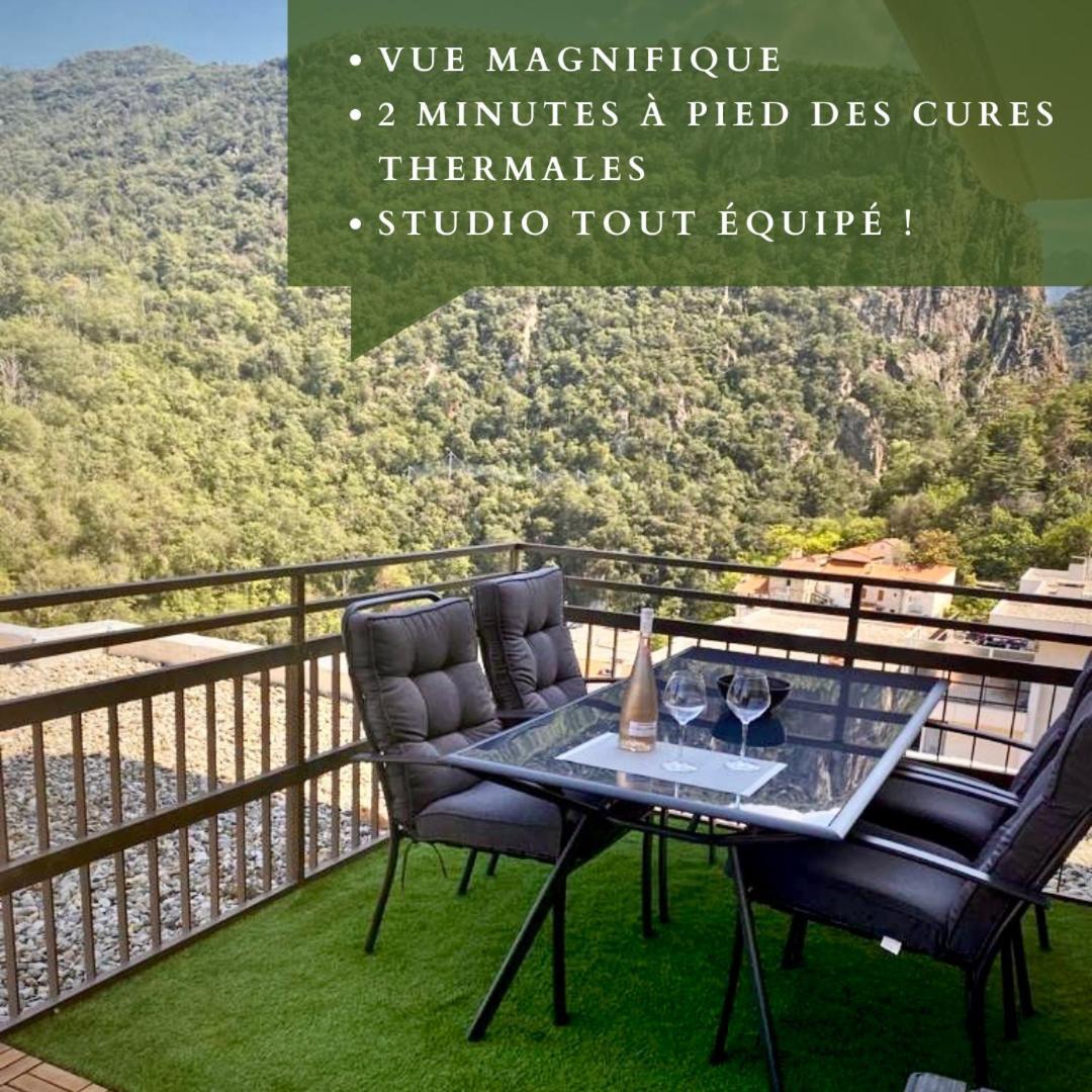 Studio Tout Equipe Amélie-les-Bains-Palalda Extérieur photo